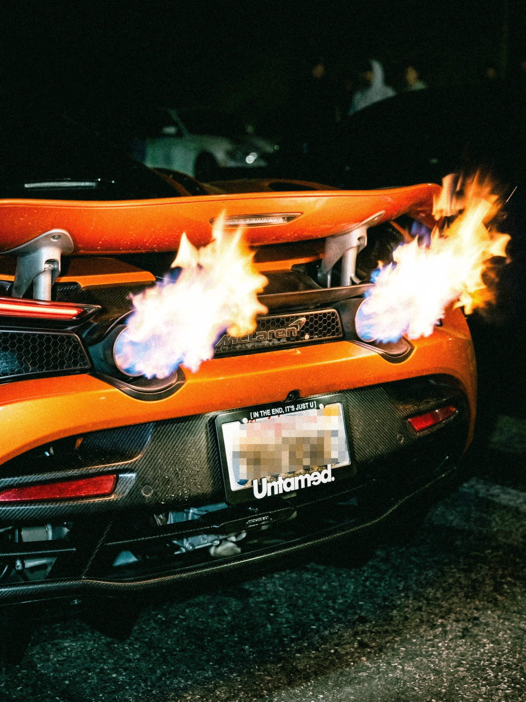 LICENSE PLATE FRAME [WHITE]